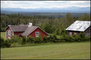 Landet, Skog, Natur, Eremit